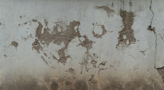 Understanding the 3 Types of Damp: Rising, Lateral, and Penetrating Damp