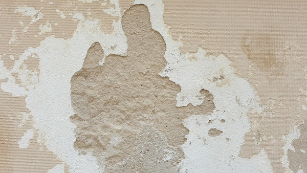 Why Paint Fails... 7 Common Causes and How to Prevent Them