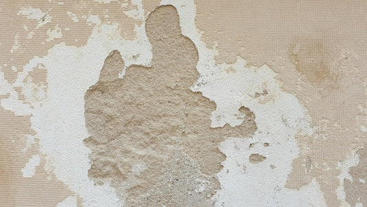 Why Paint Fails... 7 Common Causes and How to Prevent Them