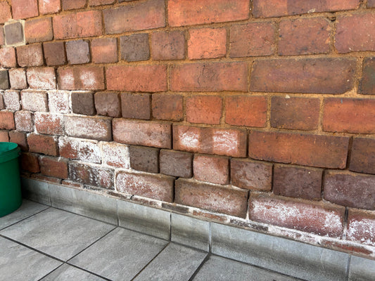 Products for Damp Walls - Paint Scape Paints
