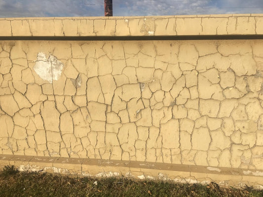 Damp and Waterproofing Projects Callbacks - Paint Scape Paints